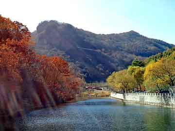 澳门天天彩期期精准平肖，京山seo排名